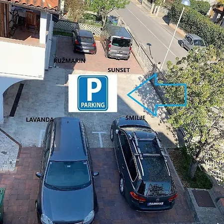 Apartman Aleksandar *