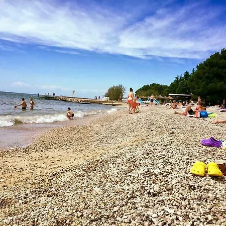 Aleksandar Apartman *