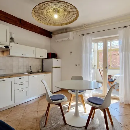 Aleksandar 아파트 *