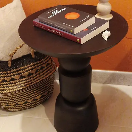 Aleksandar 아파트 *