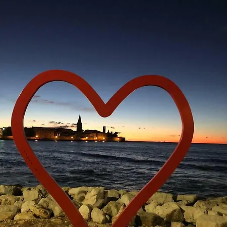 Aleksandar Appartamento