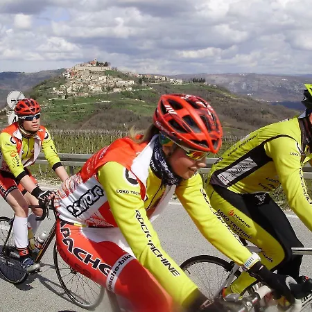 Aleksandar 아파트 *