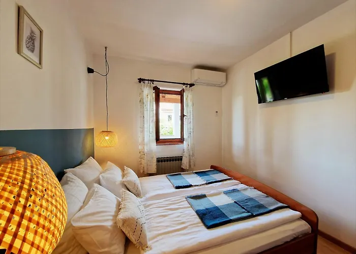 Aleksandar דירה *