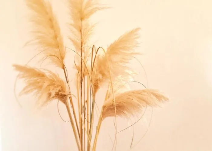 Apartamento Aleksandar Poreč