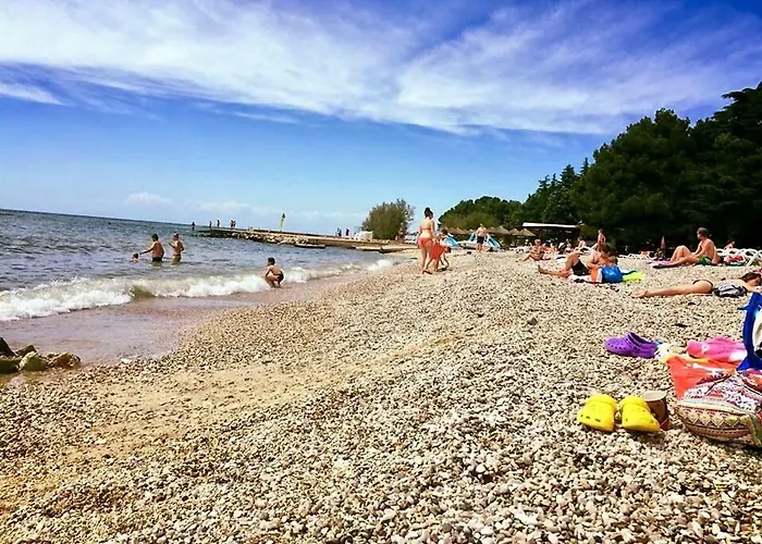 Aleksandar Apartamento *